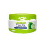 Racine Vita Vaseline Concombre 100g