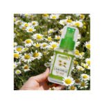 Sante Bio Macérât Huileux Camomille – 50ml