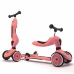 Scoot And Ride  Trottinette 2en1 Highwaykick 1 - Pèche