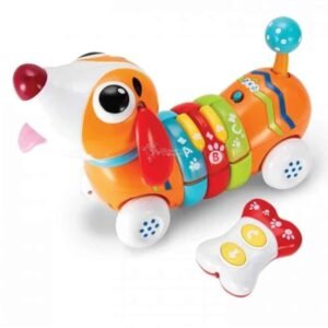 Winfun Chien Couleur Rc
