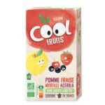 Vitabio Cool Fruits Pomme Fraise Myrtille 12x90g