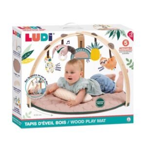 Ludi Tapis d'éveil Arche Bois
