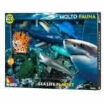 Molto Animaux marins