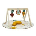 Tiny Love Tapis D'eveil Gymini Sustainable Garden Adventure