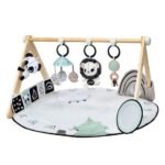 Tiny Love Tapis d'éveil Gymini luxe avec arche en bois